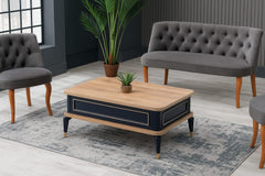 Višenamjenski pametni sto Anka