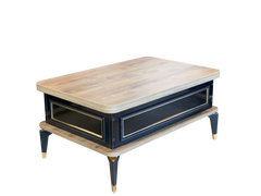 Višenamjenski pametni sto Anka