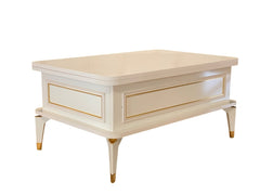 Višenamjenski pametni sto Anka