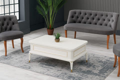 Višenamjenski pametni sto Anka