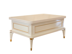 Višenamjenski pametni sto Anka