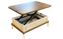 Višenamjenski pametni sto Anka