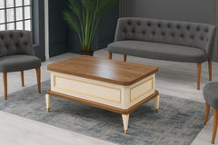 Višenamjenski pametni sto Anka