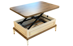 Višenamjenski pametni sto Anka