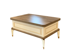 Višenamjenski pametni sto Anka