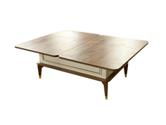 Višenamjenski pametni sto Anka